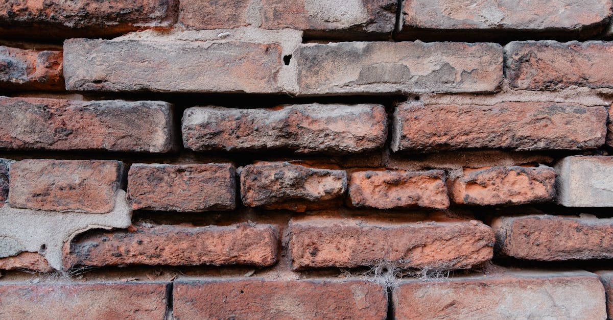 Digital Tools for Managing Cavity Wall Tie Inspection Data