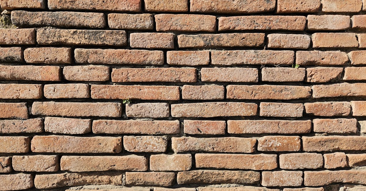 Evaluating Repair Needs After Noticing Structural Movement