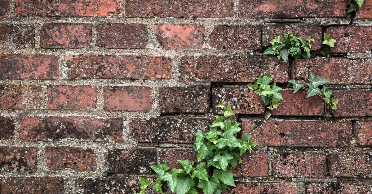 How Insufficient Site Preparation Affects Tie Performance