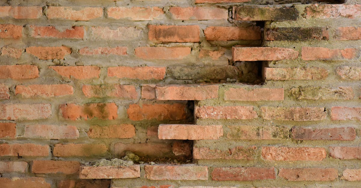 Long-Term Consequences of Untreated Moisture Issues on Wall Ties