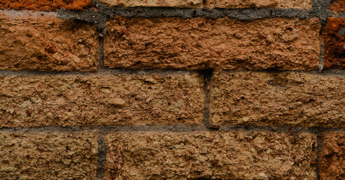 Tools for Identifying Issues in Cavity Wall Tie Systems